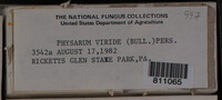 Image Associated With the Occurence